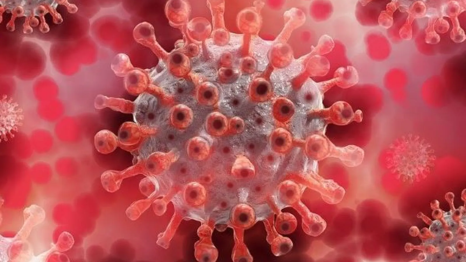 rendered image of coronavirus