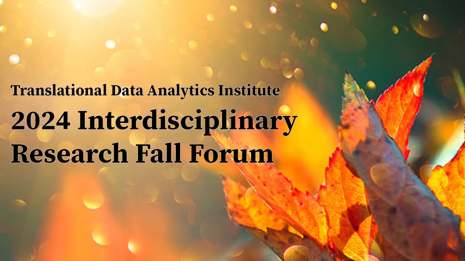 IRFF 2024