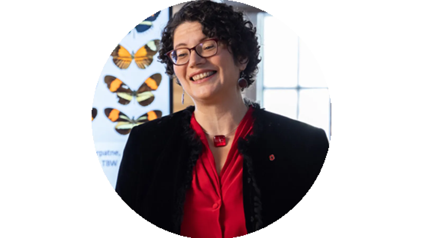 Dr. Tanya Berger-Wolf smiles and gestures with both hands while presenting in front of a large screen displaying a grid of colorful butterfly specimens.